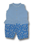 Picnic - Blue
